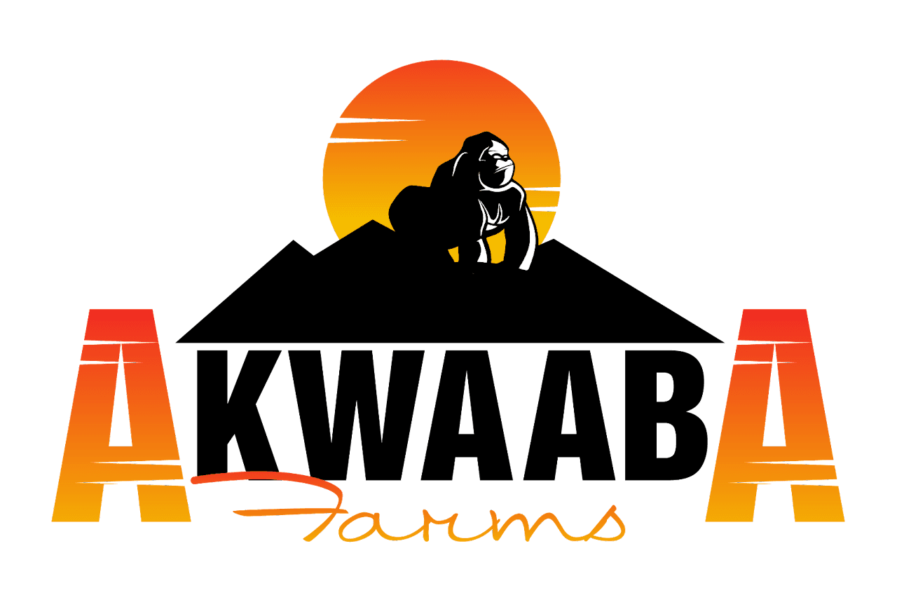 Akwaaba Logo