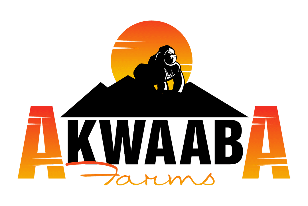 Akwaaba Anniversary Sale!